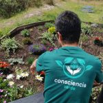 El llamado a reconectar: El despertar de la Llama Verde, el origen de consciencia verde