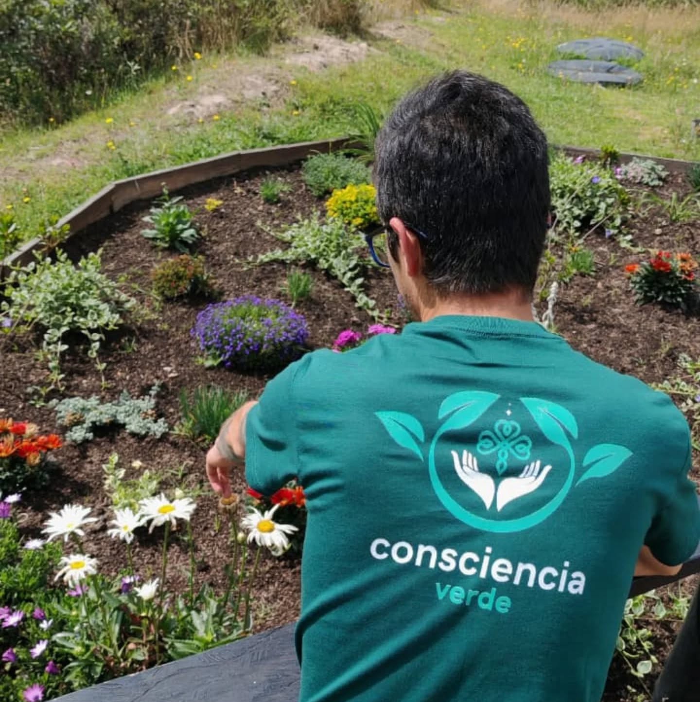 El llamado a reconectar: El despertar de la Llama Verde 