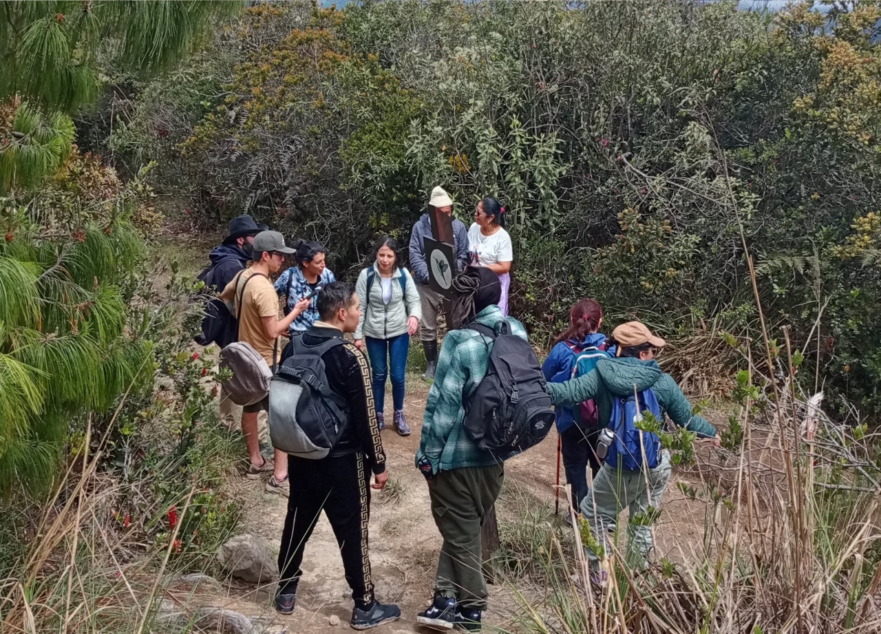 CV-caminoindio (4)
